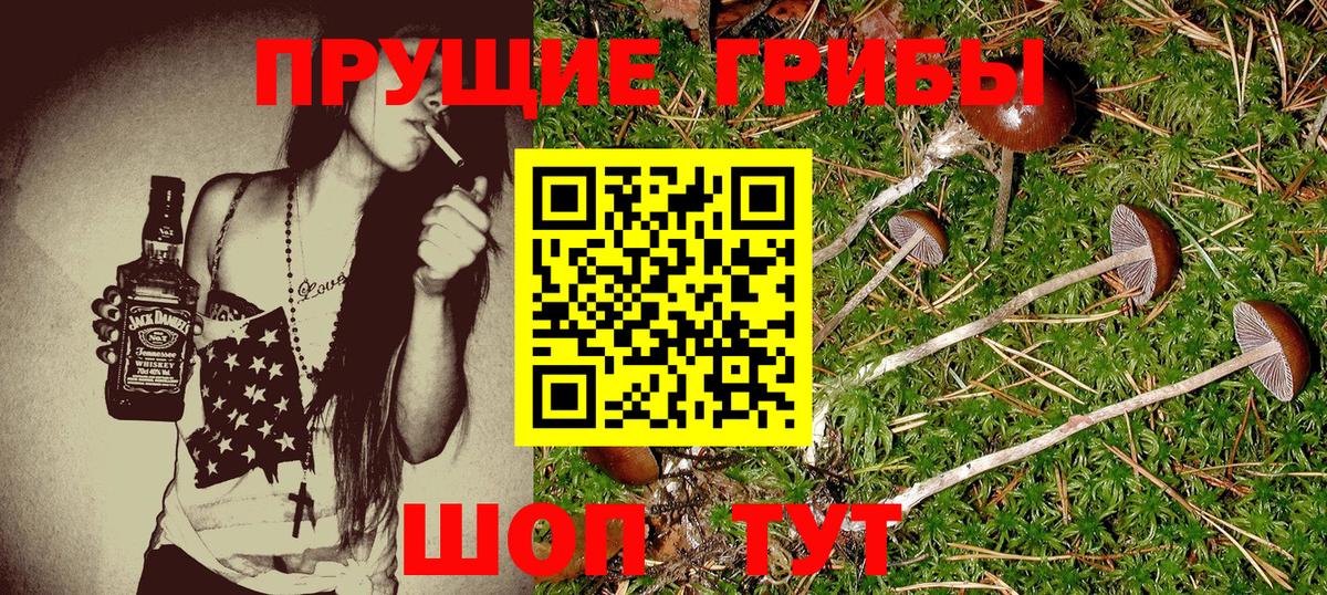 наркошоп  Псилоцибиновые грибы ЛСД  Вход с VPN  Егорьевск 