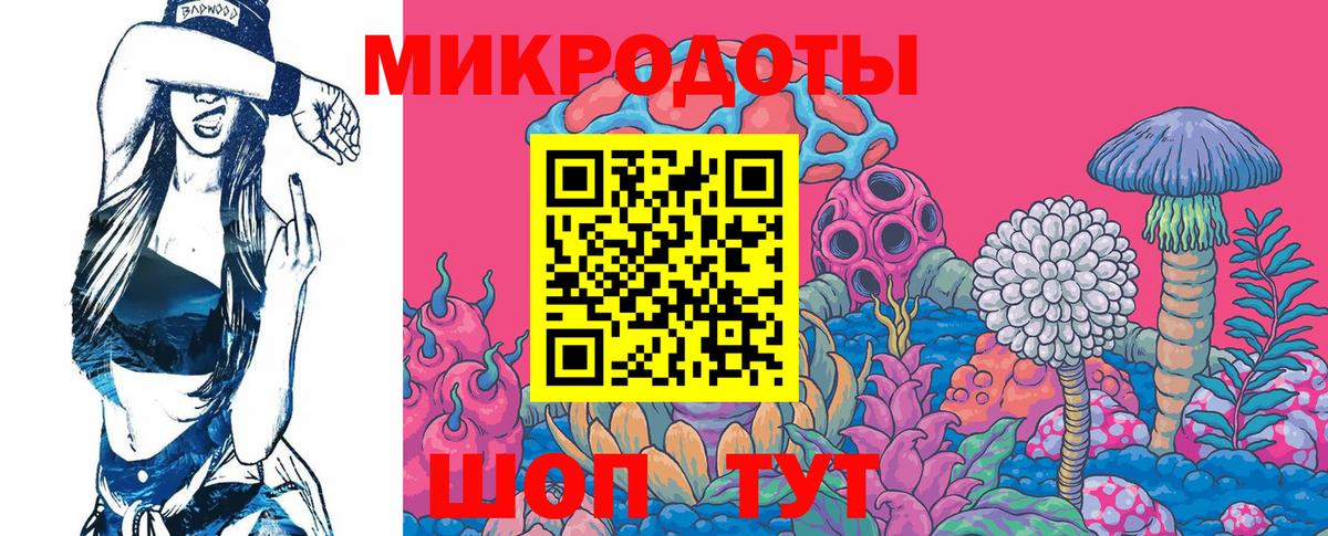 Псилоцибиновые грибы Cubensis Егорьевск
